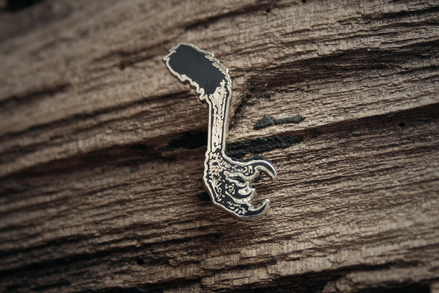 Raven Claw - PIN