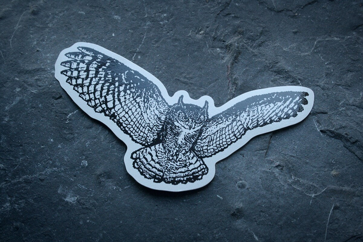 Owl - vinyl STICKER