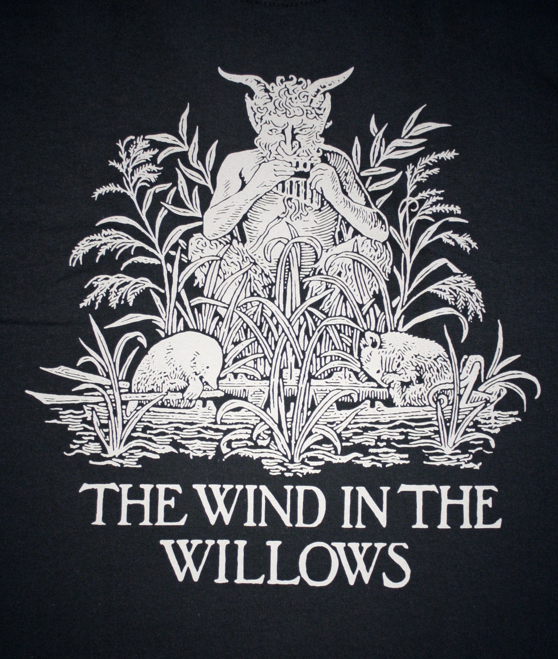 Wind in the Willows - T-shirt