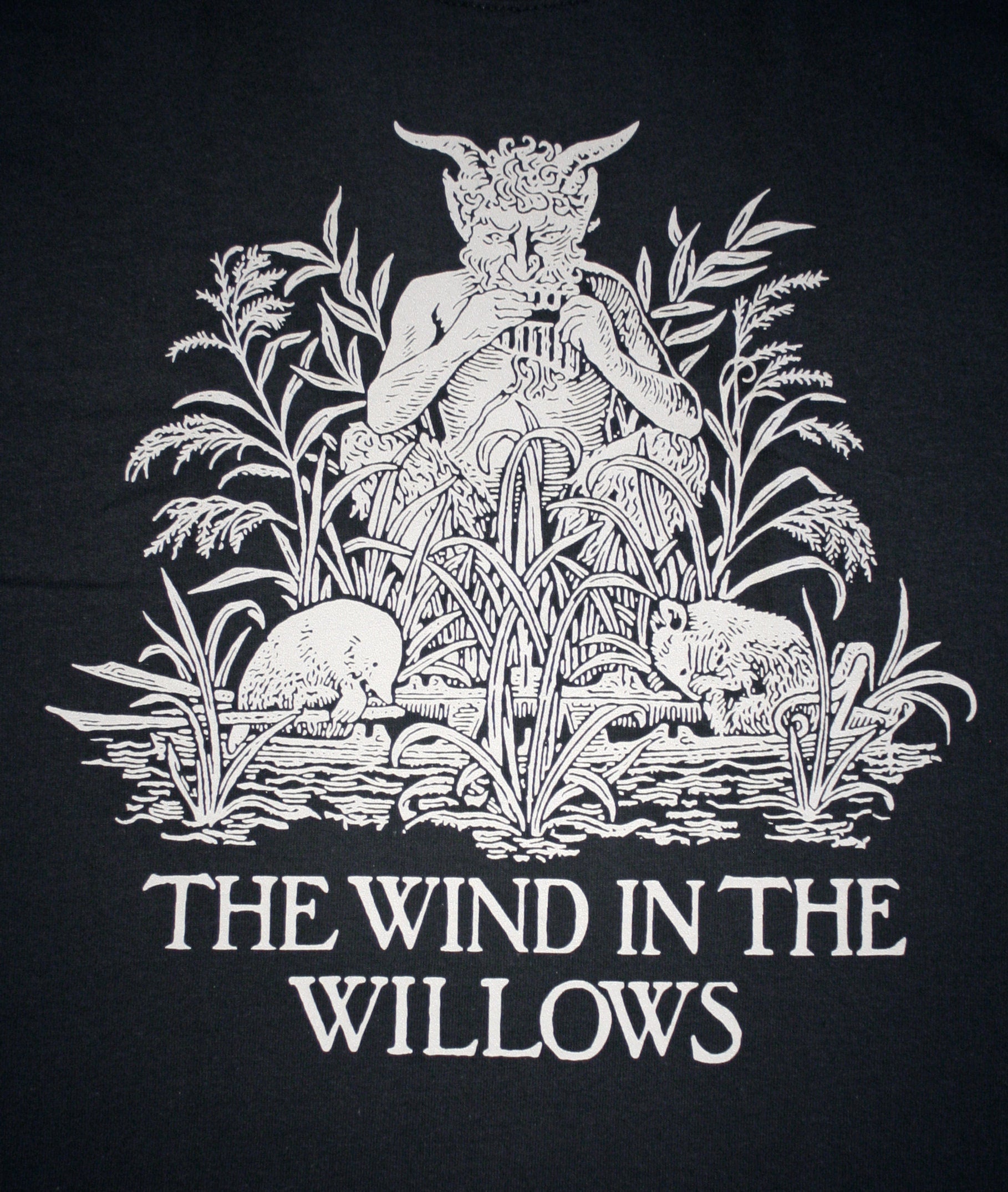 Wind in the Willows - T-shirt female fitted
