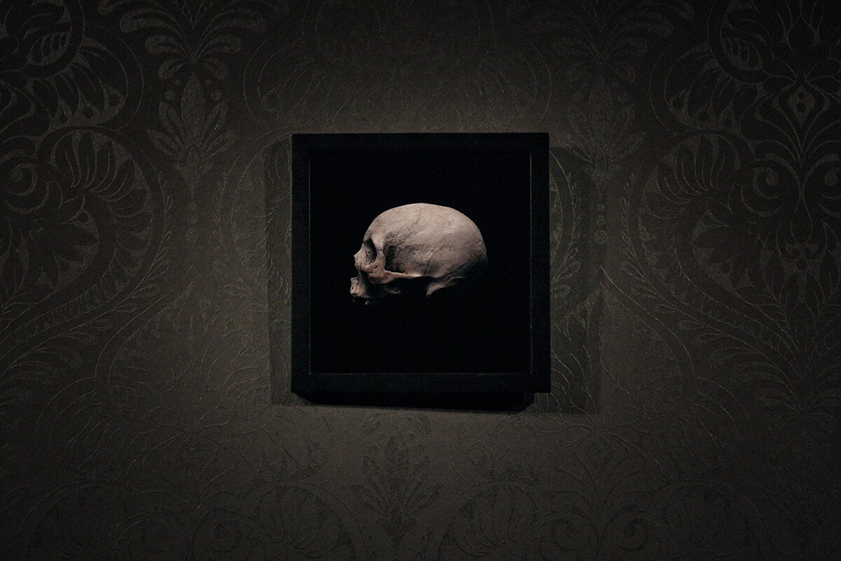 Human skull sideview, framed in black frame - Art print