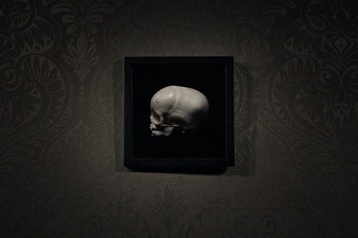 Skull, juvenile human, framed in black frame - Art print