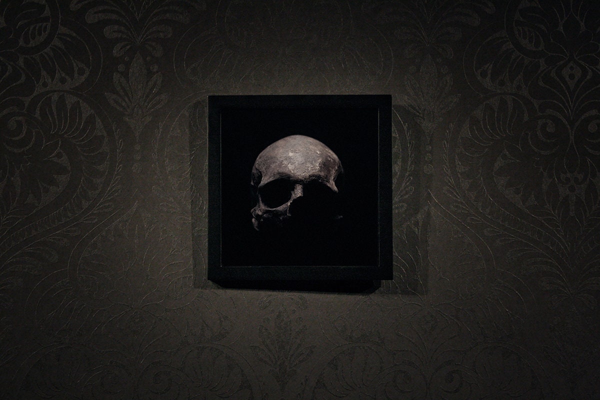 Skull broken in front view, framed in black frame - Art print