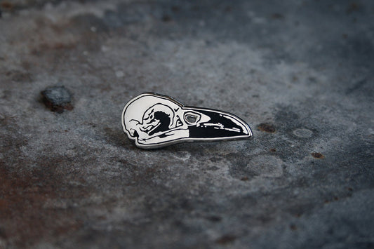 Crow skull, bird carcass - PIN