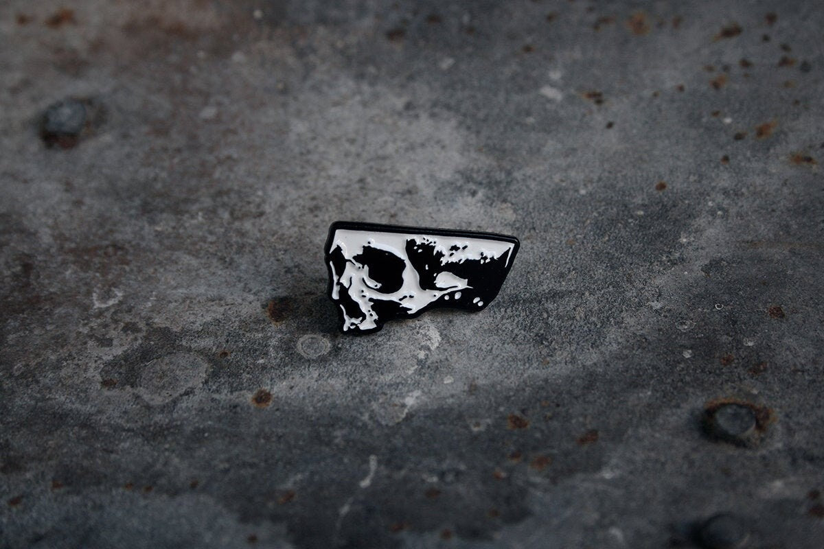 Half skull, anatomical cut - PIN