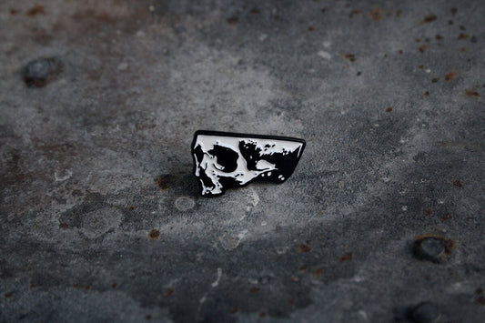 Half skull, anatomical cut - PIN