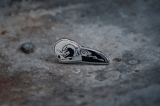 Crow skull, bird carcass - PIN