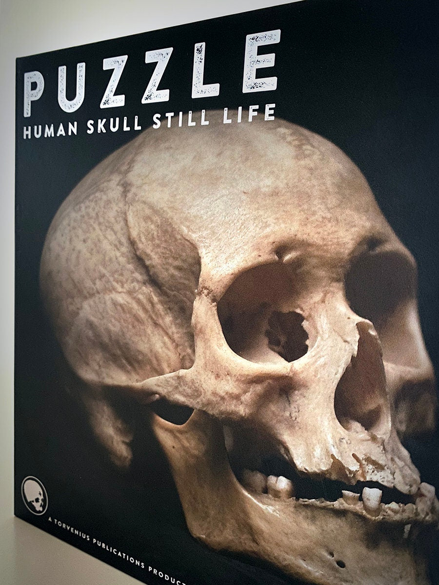 Human skull photo, still life 01 - 300 pieces PUZZLE