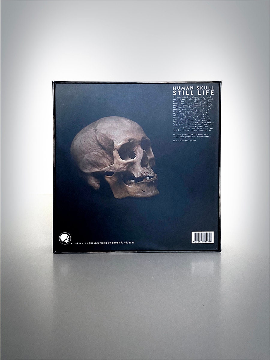 Human skull photo, still life 01 - 300 pieces PUZZLE