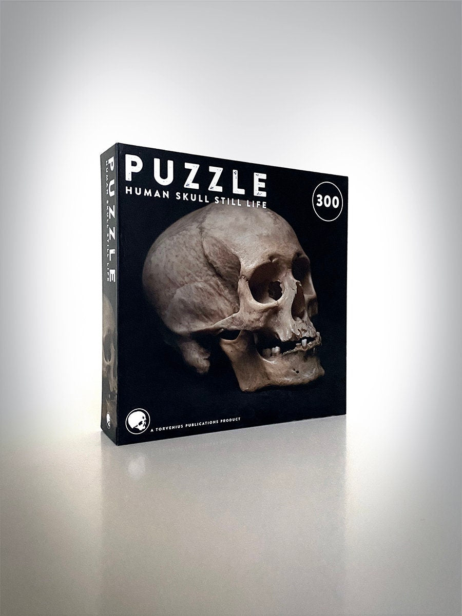 Human skull photo, still life 01 - 300 pieces PUZZLE