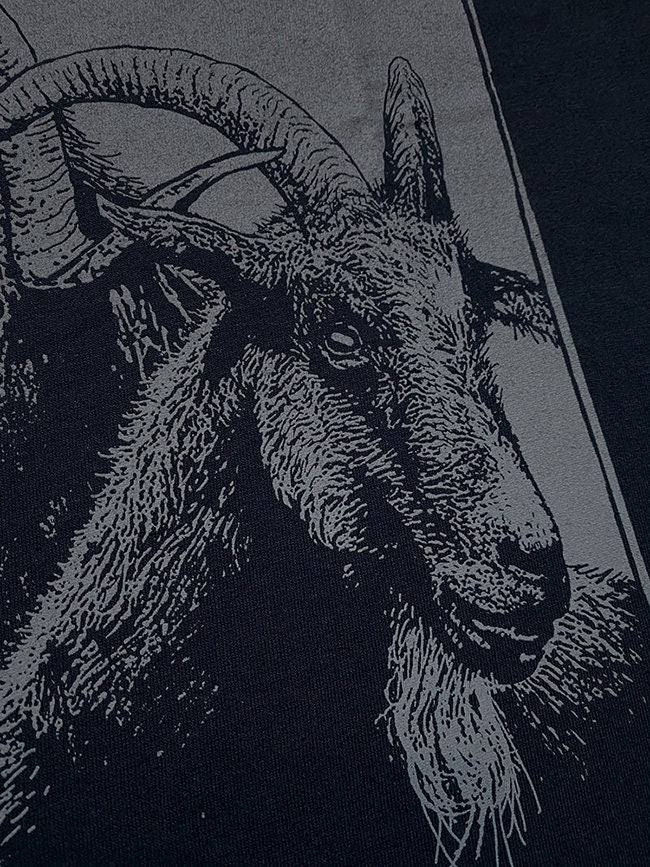 Tanngrisner and Tanngnjost, the goats of Thor, rune tshirt - T-shirt