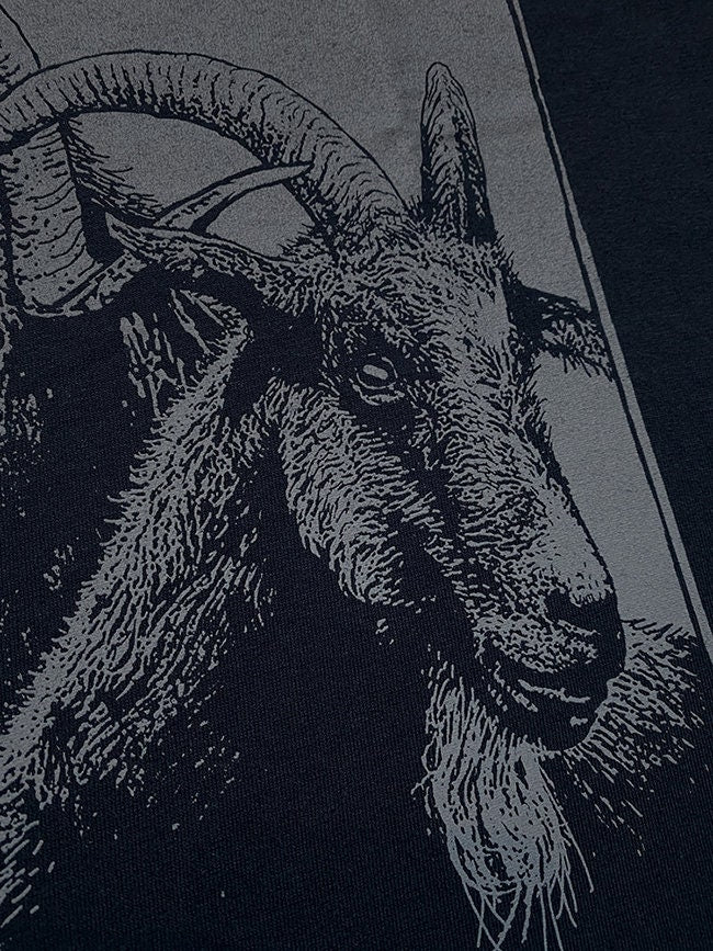 Thor's Goats Rune Tanngrisner and Tanngnjost, the goats of Thor, rune tshirt - T-shirt ...