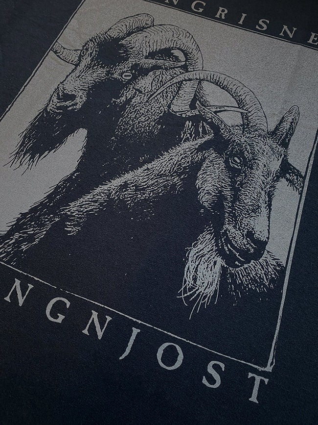 Tanngrisner and Tanngnjost, the goats of Thor, rune tshirt - T-shirt